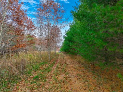 xxx Lot #6 110th Avenue, Hammond, WI 54015