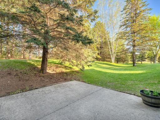 16376 230th Avenue NW, Elk River, MN 55330