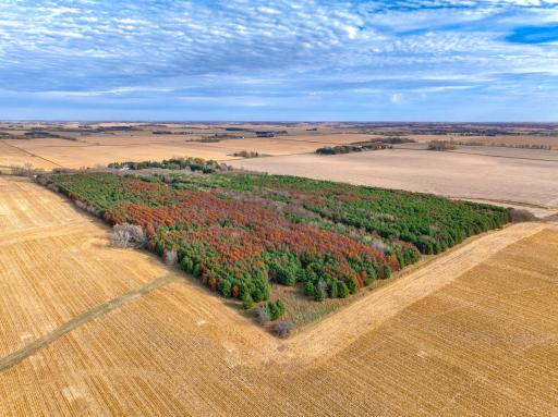 xxx Lot#27 110th Avenue, Hammond, WI 54015
