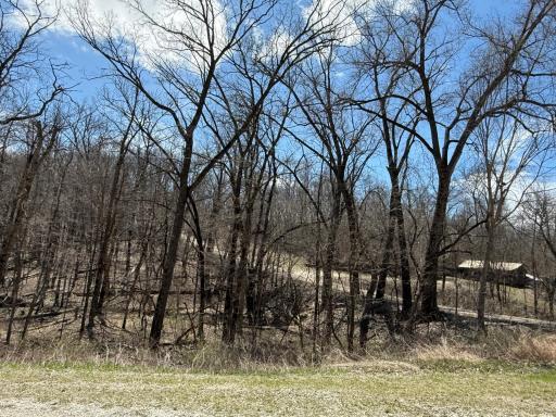 Photo for TBD Olive Road, Spring Valley, MN 55975 - Listing #6706314 TBD Olive Road, Spring Valley, MN 55975