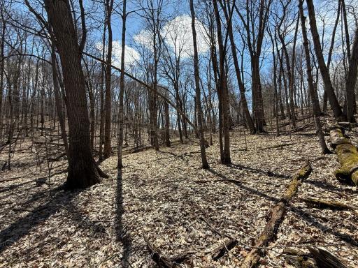 Photo for TBD Olive Road, Spring Valley, MN 55975 - Listing #6706314 TBD Olive Road, Spring Valley, MN 55975