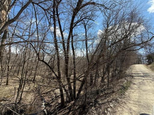 Photo for TBD Olive Road, Spring Valley, MN 55975 - Listing #6706314 TBD Olive Road, Spring Valley, MN 55975