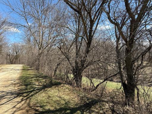 Photo for TBD Olive Road, Spring Valley, MN 55975 - Listing #6706314 TBD Olive Road, Spring Valley, MN 55975