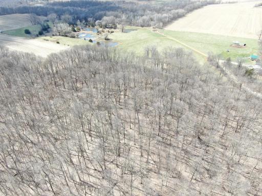 TBD Olive Road, Spring Valley, MN 55975