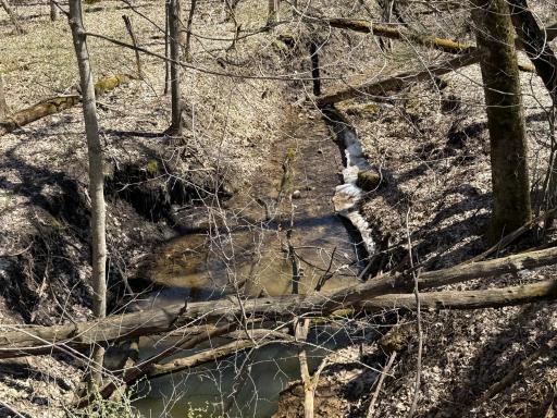 Photo for TBD Olive Road, Spring Valley, MN 55975 - Listing #6706314 TBD Olive Road, Spring Valley, MN 55975