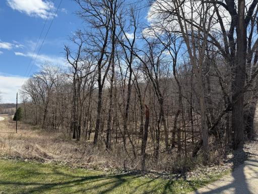 Photo for TBD Olive Road, Spring Valley, MN 55975 - Listing #6706314 TBD Olive Road, Spring Valley, MN 55975