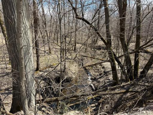 Photo for TBD Olive Road, Spring Valley, MN 55975 - Listing #6706314 TBD Olive Road, Spring Valley, MN 55975