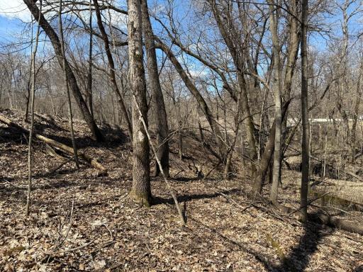 Photo for TBD Olive Road, Spring Valley, MN 55975 - Listing #6706314 TBD Olive Road, Spring Valley, MN 55975