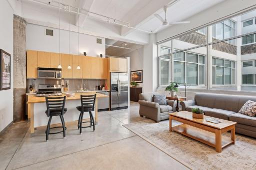 700 Washington Avenue N, 413, Minneapolis, MN 55401