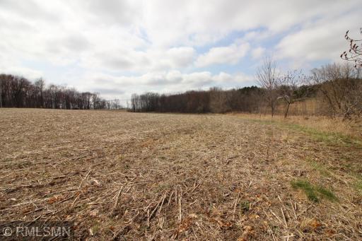 XXX 690th Street, River Falls, WI 54022
