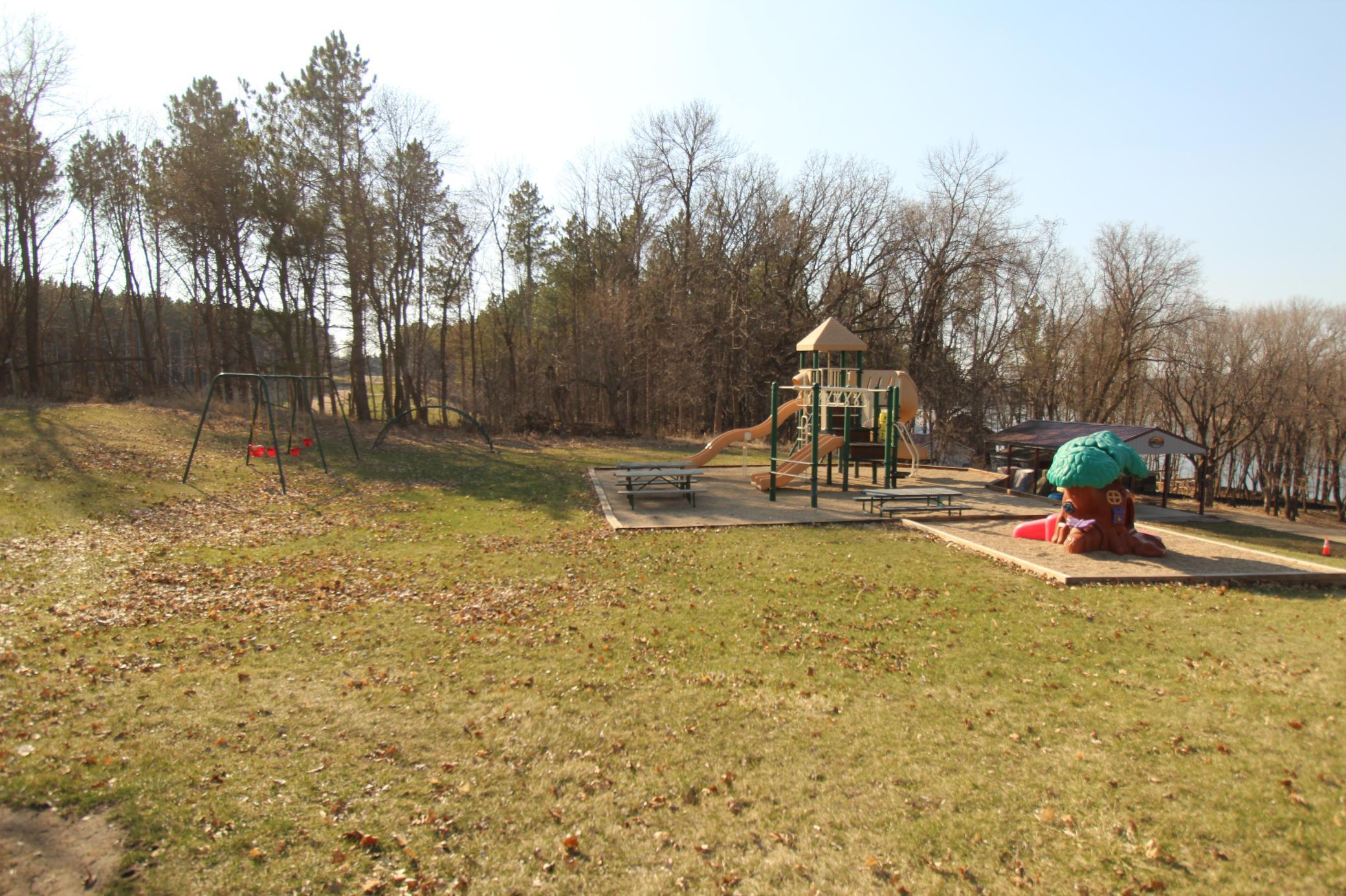 Swingset Area