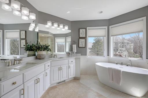 18125 Jannevar Court, Lakeville, MN 55044