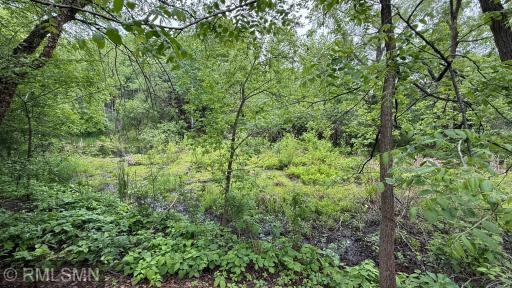 18125 Jannevar Court, Lakeville, MN 55044