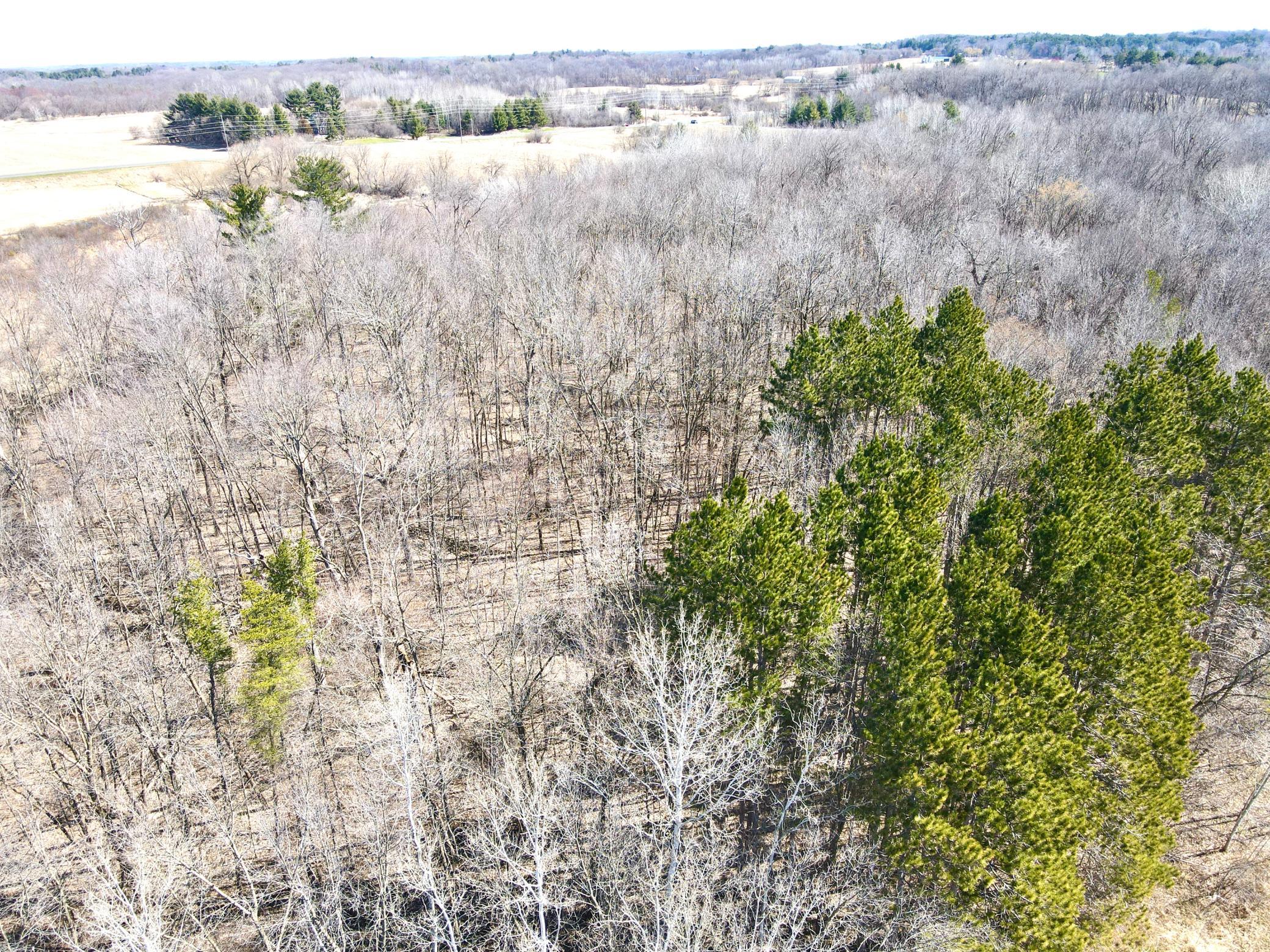 dji_fly_20250419_105244_716_1745077994777_photo.jpeg
