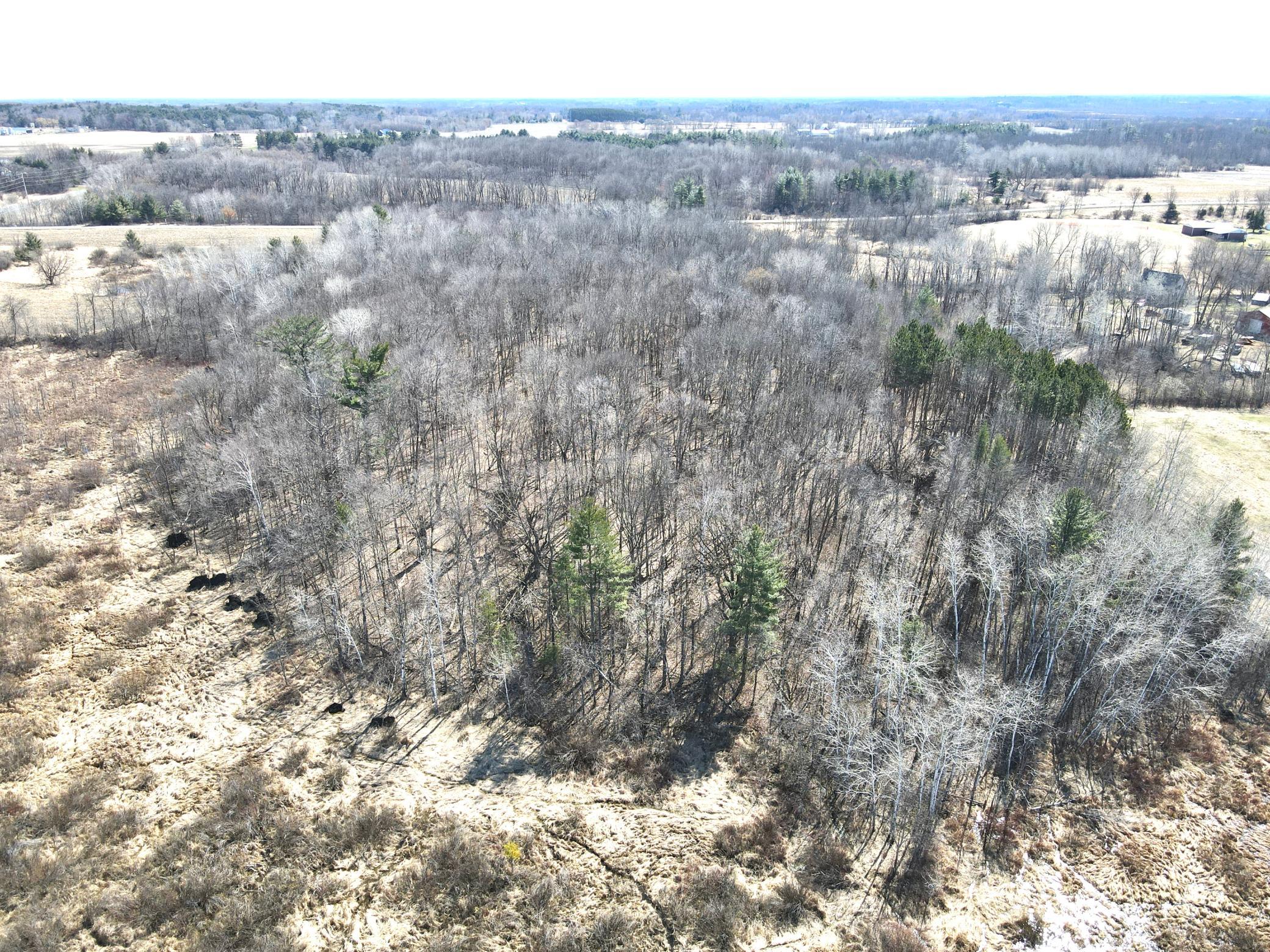 dji_fly_20250419_105352_723_1745078101265_photo.jpeg