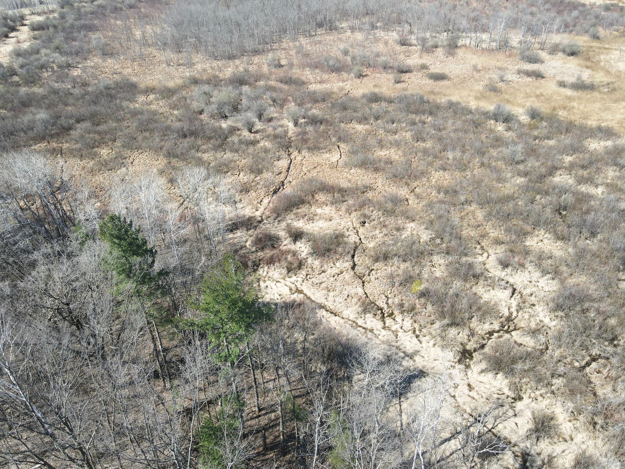 dji_fly_20250419_105316_719_1745078085288_photo.jpeg