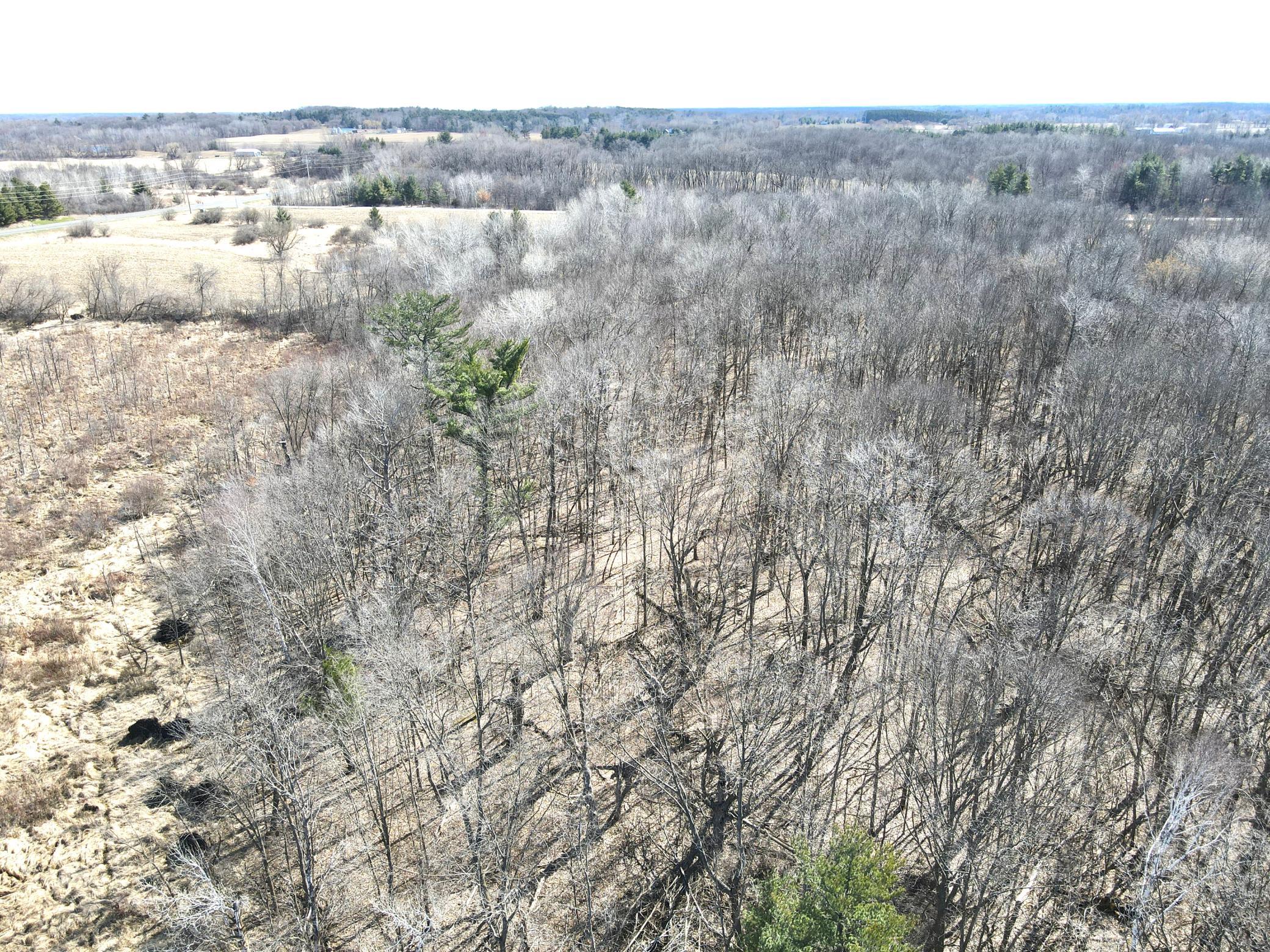 dji_fly_20250419_105338_722_1745078107264_photo.jpeg