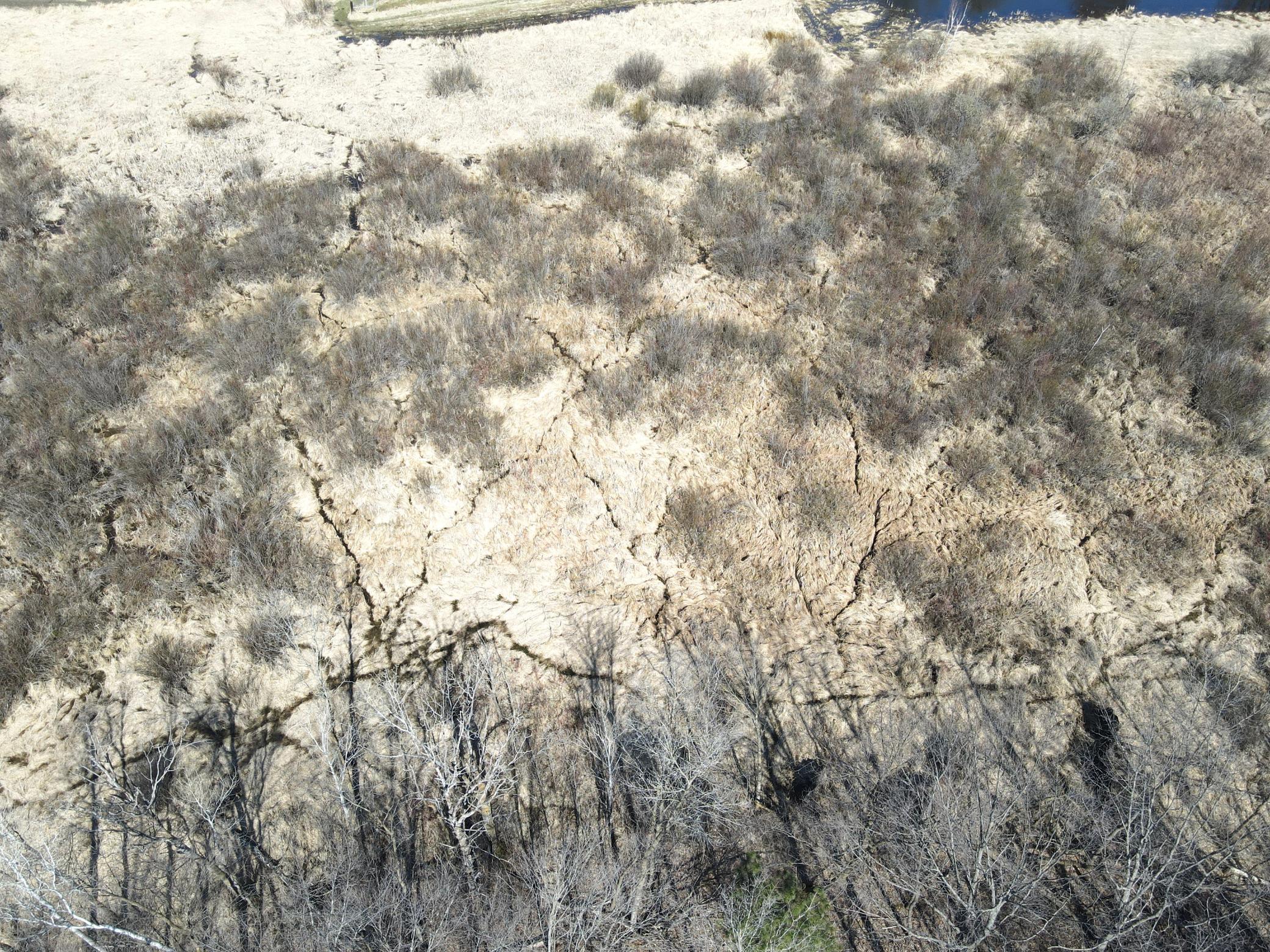 dji_fly_20250419_105312_718_1745078094563_photo.jpeg