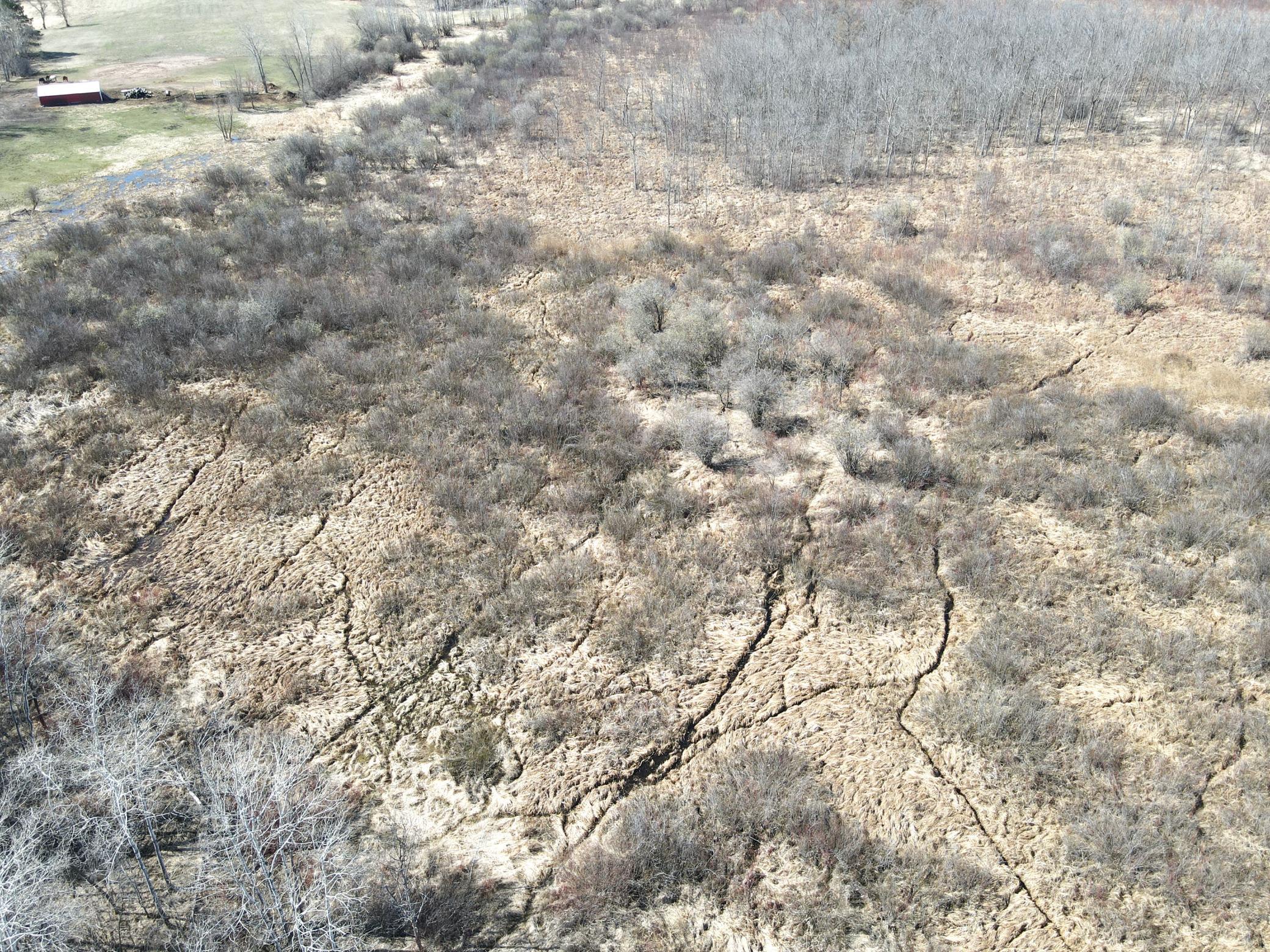 dji_fly_20250419_105328_720_1745078063680_photo.jpeg