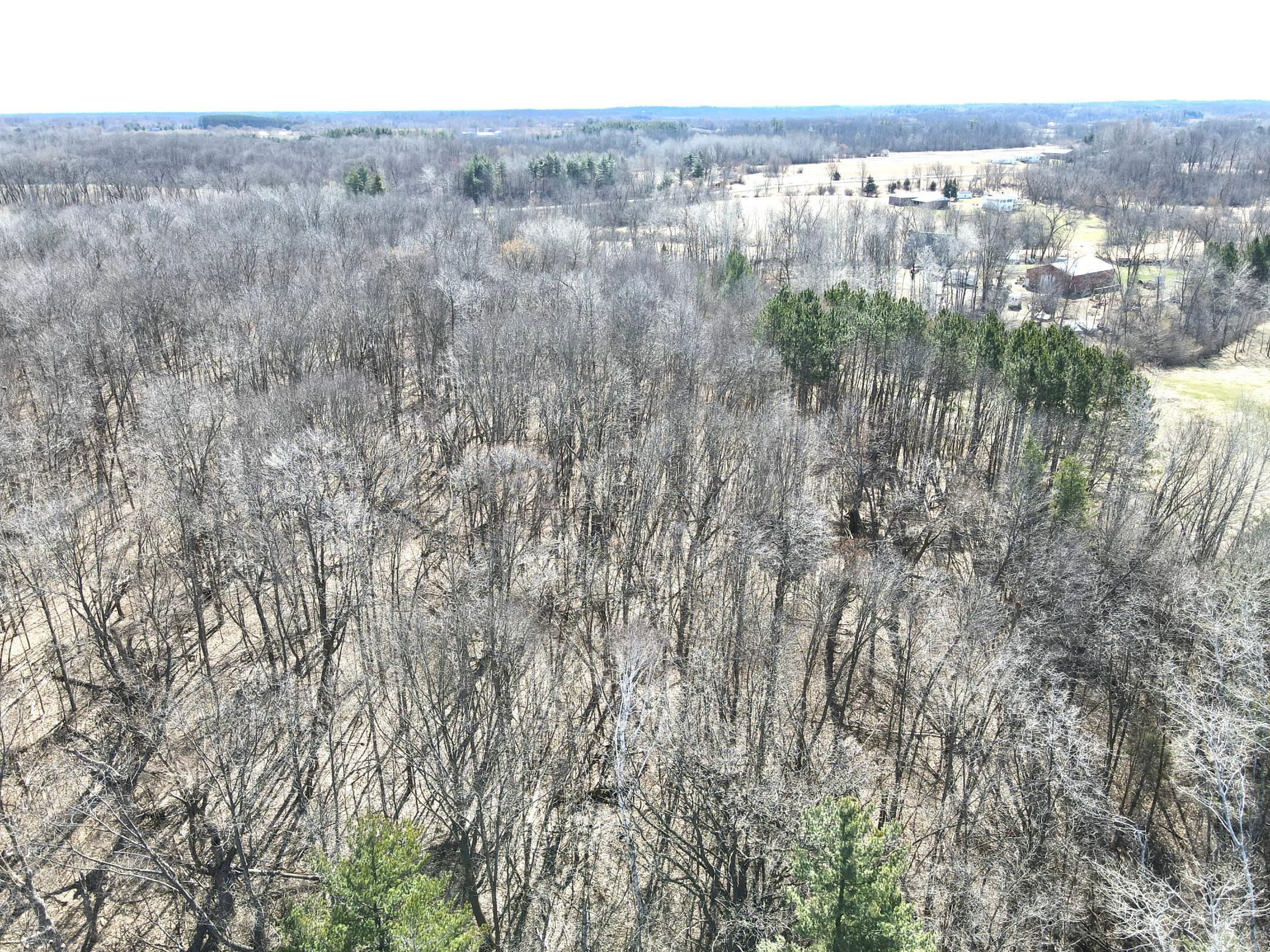 dji_fly_20250419_105334_721_1745078113115_photo.jpeg