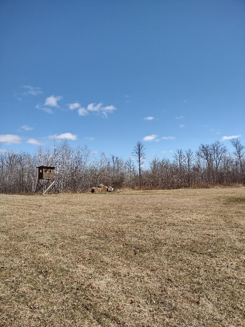 Food Plot