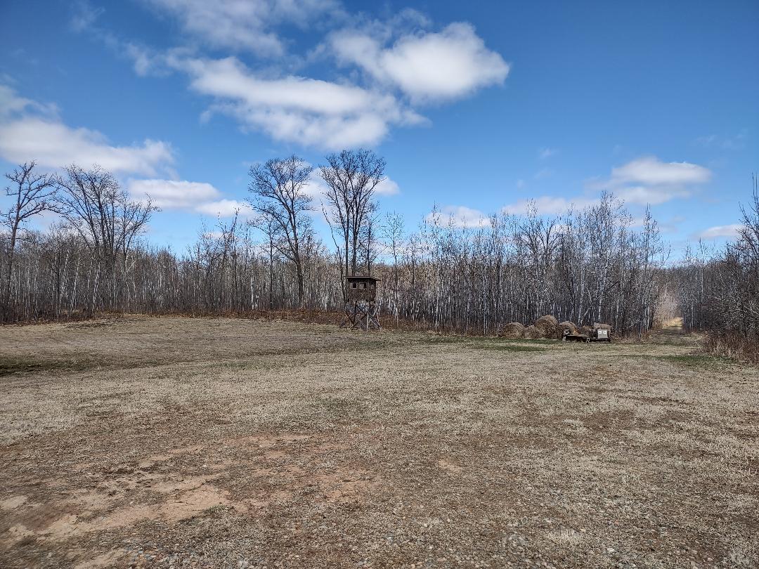 Food Plot