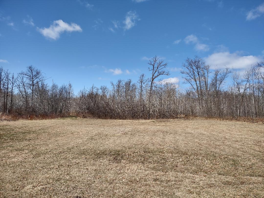 Food Plot