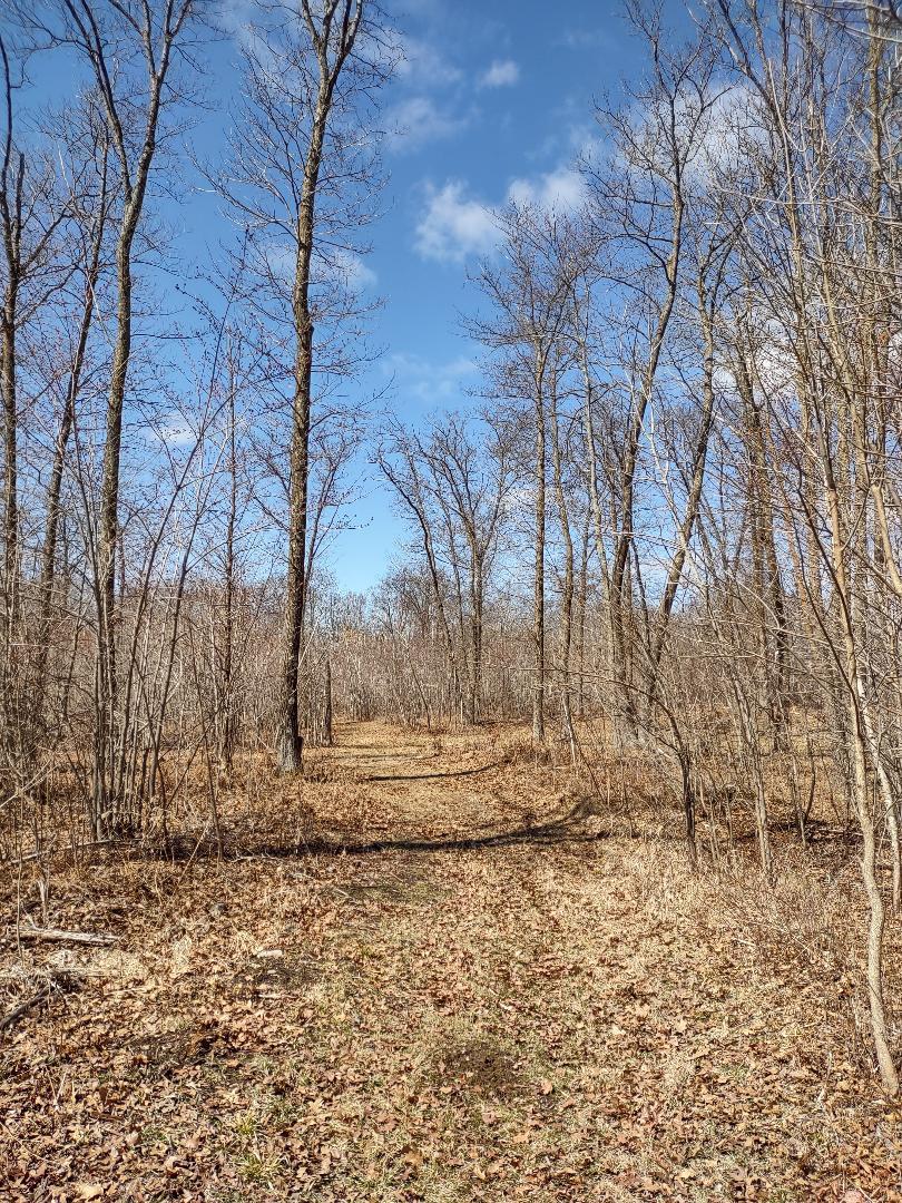 Photo 48