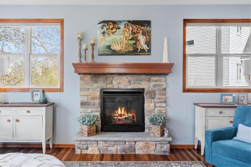 6143 Southview Court, Mound, MN 55364