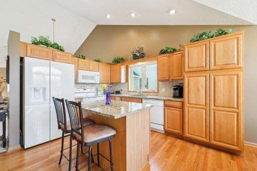 14603 Beverley Lane, Savage, MN 55378