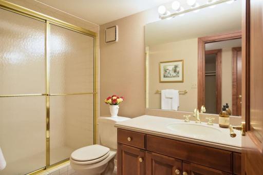 Lower level 3/4 bath