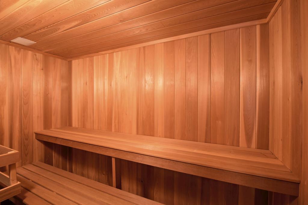Lower level sauna