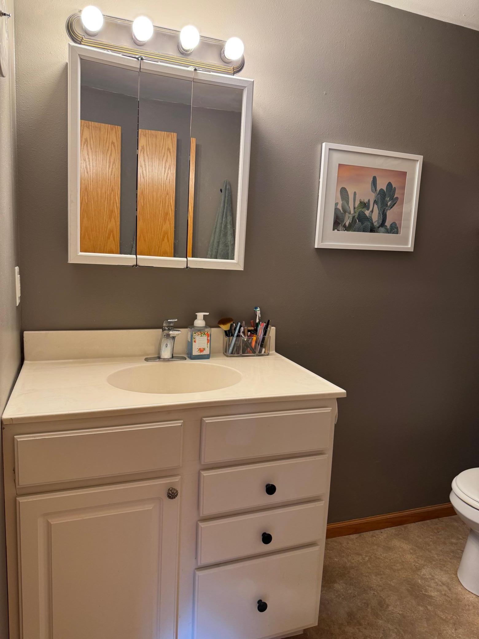 lower level vanity.jpg