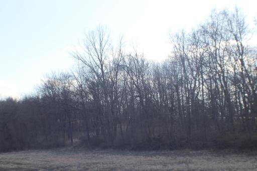 xxxxB Kings Park Road NW, Oronoco, MN 55960