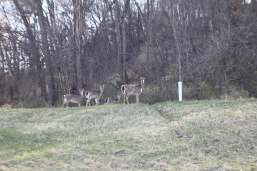 xxxxB Kings Park Road NW, Oronoco, MN 55960