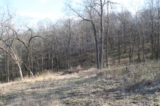 xxxxB Kings Park Road NW, Oronoco, MN 55960