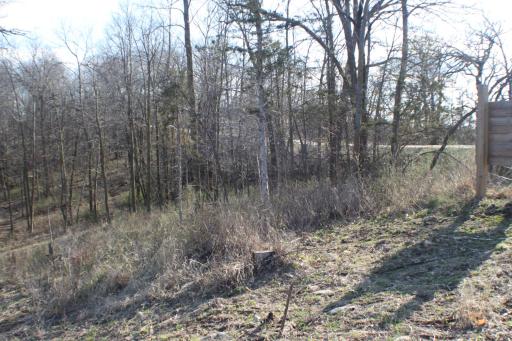 xxxxB Kings Park Road NW, Oronoco, MN 55960