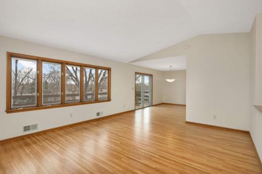 Image-6.jpg