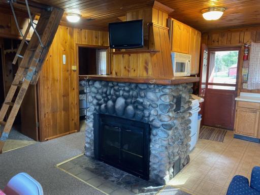 Cook, MN 55723