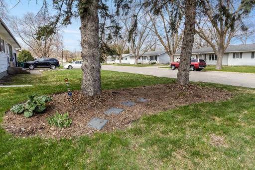 Beautiful landscaping featuring hostas, rhubarb, and hearty plants that will come back year over year - even if you are not a green thumb!