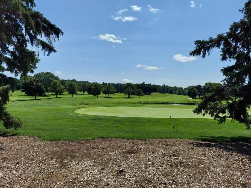 Views to the horizon! This private Country Club is nicely nearby. At home the extra wide four car garage could have a space for your own golf cart.