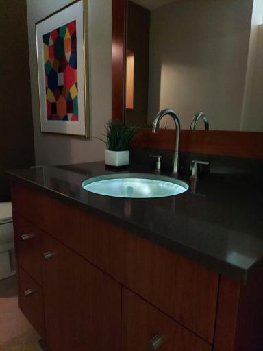 Your theater audience is sure to appreciate the illuminated basin in a restroom down the hall. You can dim the hall lights so your guests adjust their eyes for the entertainment that is about to begin in your theater.