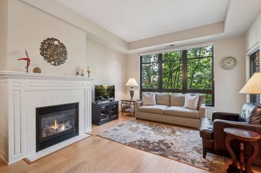 Just "Wow!" when you enter this beautiful condo! You will find fine finishes and a setting to love.