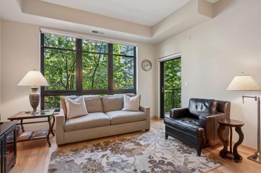 The windows are huge and blinds with light-filtering options are in the "up" position. The same is true at the door leading to the balcony.