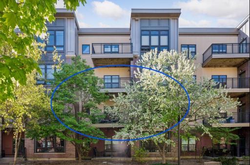 The circled area shows Unit 227 and how it is semi covered with the trees, while still letting light into the home. Pretty unique!