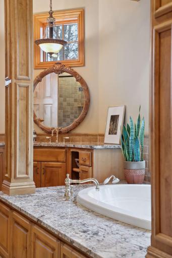 6 Red Forest Way, Saint Paul, MN 55127