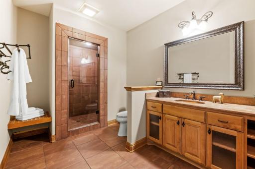 Lower level bathroom complete with steam shower