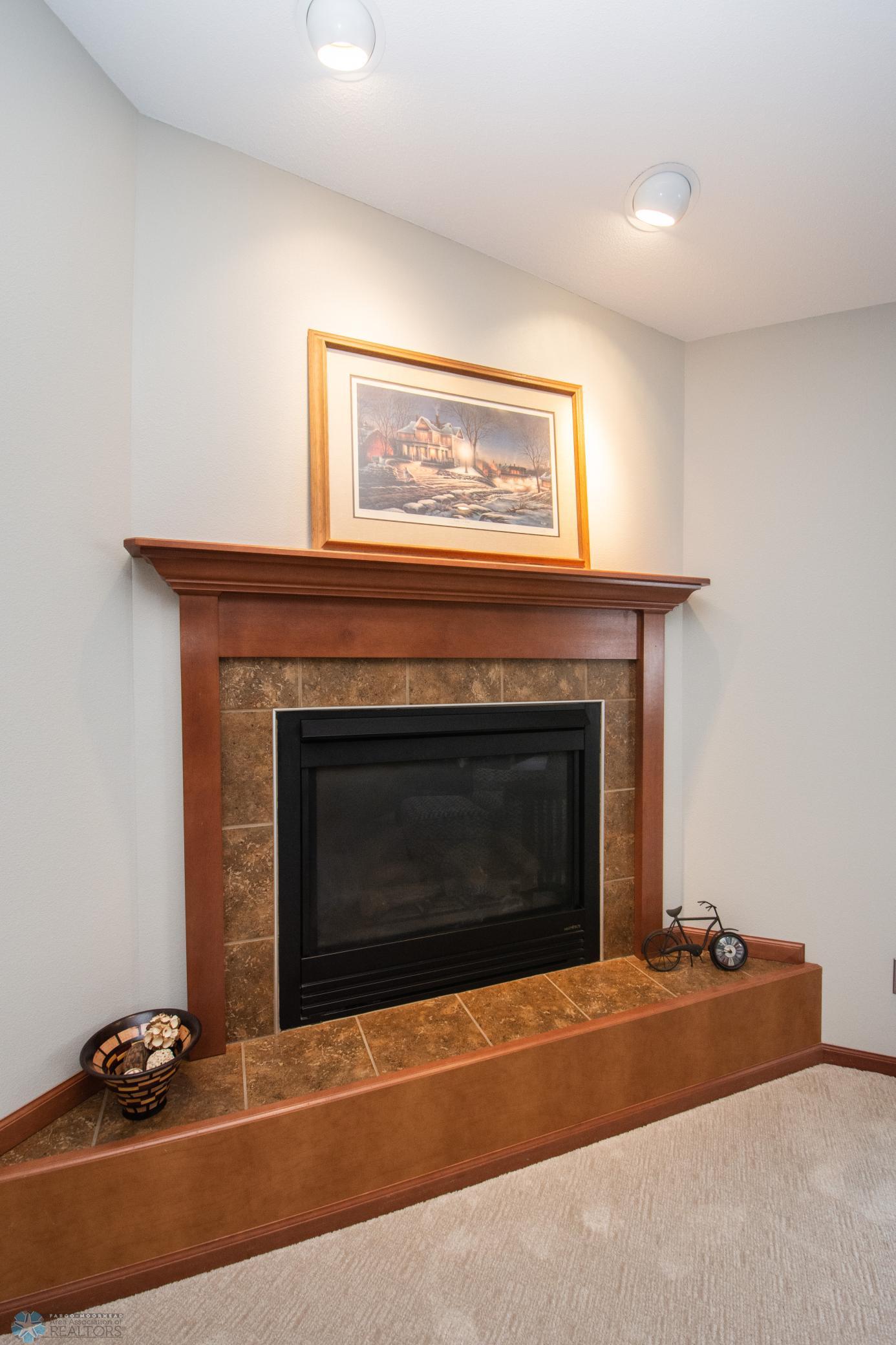 Fireplace/Living Room