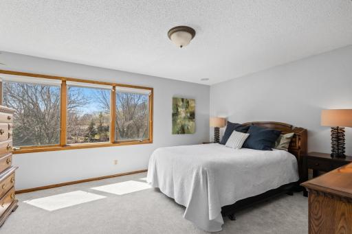 15361 Village Woods Drive, Eden Prairie, MN 55347