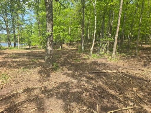 Lot 12 County Road 30, Crosby, MN 56441